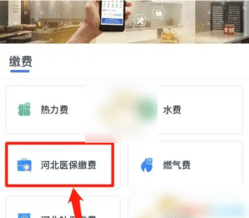 廊坊人社 9.2.36 安卓版
